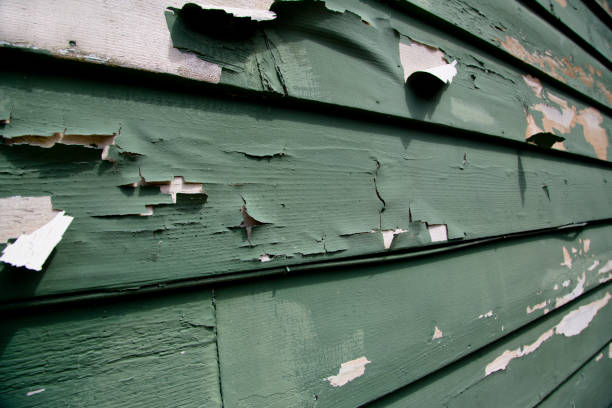 Reliable Somerset, NJ Junk Removal Solutions